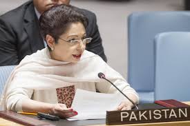Immediate reaction from international community over Indian forces brutalities in Occupied Kashmir is needed: Maleeha Lodhi