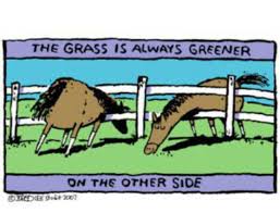 Grass is always Greener on other side of fence