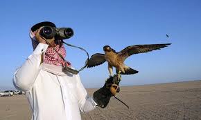 Qatari Prince reach the Thal Desert for hunting  Houbara Bustar