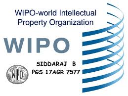 China drives global growth of intellectual property filings: WIPO annual report