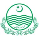 8520 , primary , middle school teachers of RWP to get grade, 16, 17