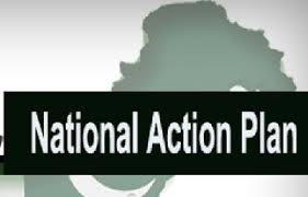 Efforts underway for implementation of NAP: DC