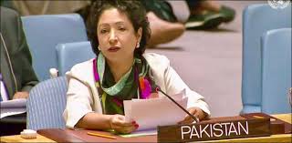 Irresponsible statements emanating from India complicating matters: Maleeha Lodhi
