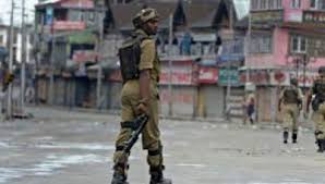 Indian forces martyred 18 Kashmiris in January: report