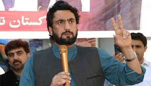 Efforts being geared up for complete implementation of NAP: Sheharyar Afridi