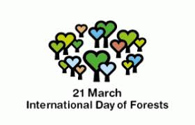 UoS hosts seminar on World Forest Day