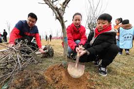 Online Tree-planting Campaign Popular in China
