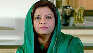 NAB’s face is tainted  with human blood: Dr Nafeesa Shah