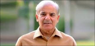 Those harping on filing any application by to  seek political asylum should provide evidence: Shahbaz Sharif