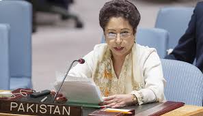 UN should benefit from experiments of countries that send  peace keeping troops: Dr Meleeha Lodhi