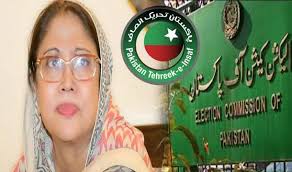 PTI files petition in election commission seeking Faryal Talpur disqualification