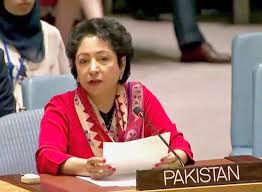 Lodhi outlines current challenges to UN peacekeeping