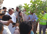 Tashfeen Safdar Marala plants tree, performs ground breaking of U-Turn
