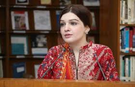 India using chemical weapons in Occupied Kashmir: Mashal Malik