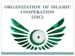 OIC condemns ongoing curfew, communications blackout in Occupied Kashmir
