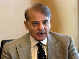 Inept PTI led govt lying to cover up its ineptness: Shahbaz Sharif