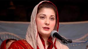 Maryam Nawaz expressed grave concern over PPP go slow policy during her meeting with Maulana Fazlur Rehman