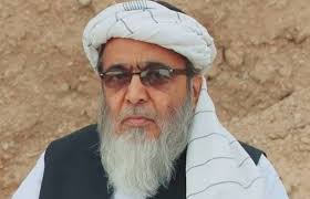 JUI-F expels four members including Hafiz Hussain Ahmad for violating party discipline
