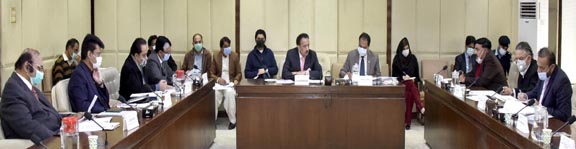 Senate Committee condemns killing of Osama Sati