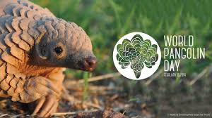World Pangolin Day: China – Pakistan collaborative effort needs to protect the Wildlife species