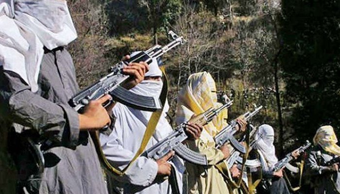 Afghan-based TTP a threat to Pakistan; reveals UN report