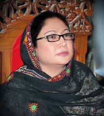 AJK elections at height, PPP leader Faryal Talpur active in region