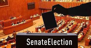 Senate Election expectations and threats