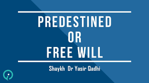 Do we have free will or our life is predestined?