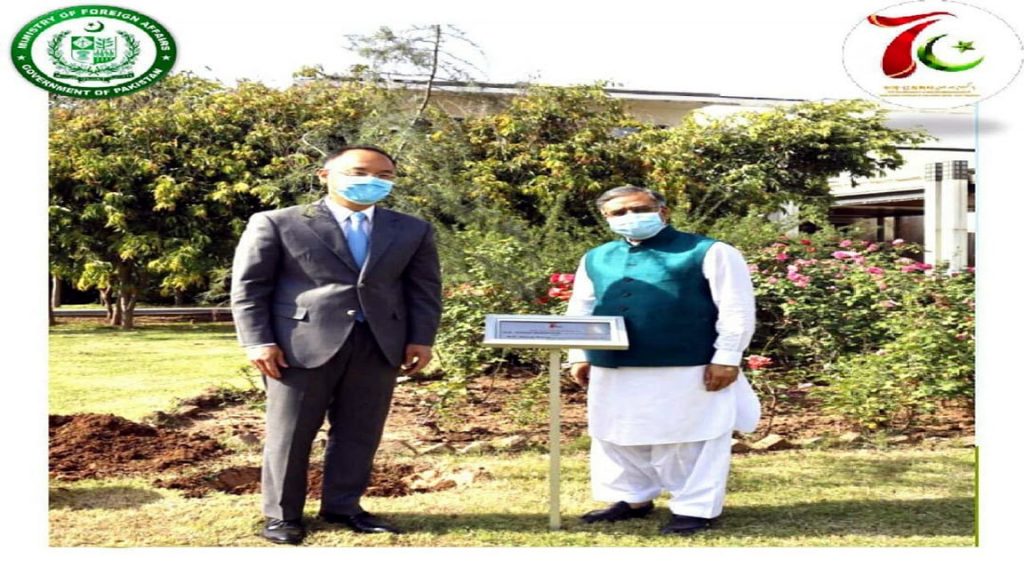 ‘Friendship Tree’ planted at Chinese Embassy compound