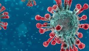 39 die, 930 people tested positive due to coronavirus