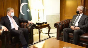 Palestinian envoy appreciates PM Imran diplomatic efforts to bring to end ongoing Israeli aggression in Palestine