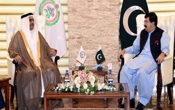 Arab Parliament President calls on Chairman Senate, relationships discussed