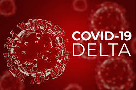 54 people lost lives due to corona virus across the country