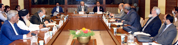 Senate Standing Committee held meeting on Privatization at lower house