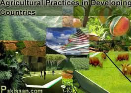 Agricultural Country