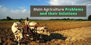 Improving agricultural sector