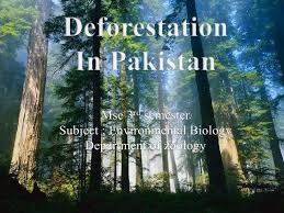 Deforestation in Pakistan