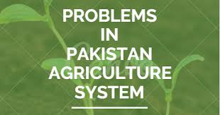 Agriculture system in Pakistan