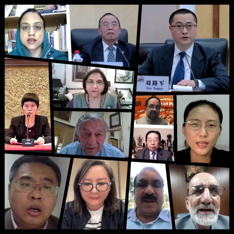 IPDS and China NGO set-up Webinar on Democracy