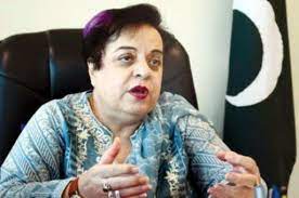 SC decision on deputy speaker ruling a judicial martial law: Shireen Mazari