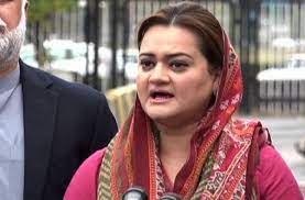 Zero tolerance policy against evils of armed forces and judiciary: Marriyum Aurangzeb