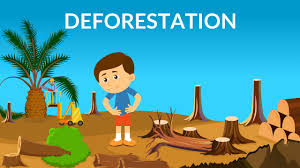 Deforestation :Hell in Pakistan
