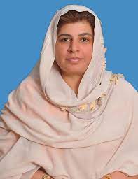 Pakistani nation to push Pakistan towards anarchy: Senator Samina Mumtaz