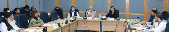 Meeting of  SSC on Delegated Legislation presided by Mian Raza Rabbani