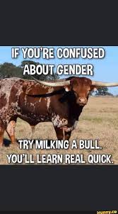 Milking the Bull