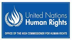 UN HR calls for immediate release of arbitrarily detained in Afghanistan,spokesperson