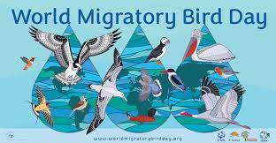 AJK observes World Migratory Birds Day-2023 marking due respect and protection of these ‘ flying guests