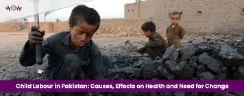 The Main Causes And Consequences of the Child Labor in Pakistan.2024