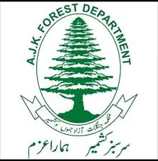 Timber wood depot of AJK Forest Deptt gutted in Sehensa: 04 officials including a DFO suspended
