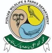 Wildlife Department cracks down on illegal hunters in Pindi Gheb, imposes Rs. 750,000 in Fines